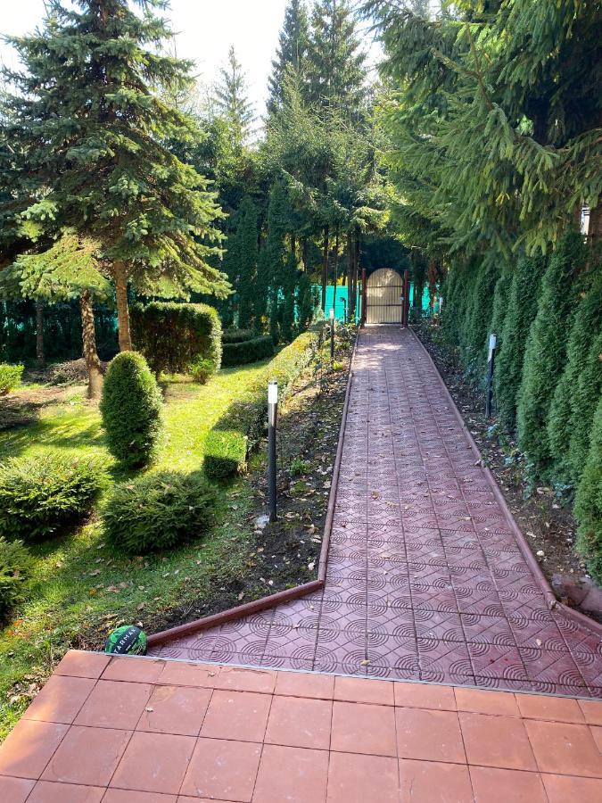 Vila Phoenix Aparthotel Predeal Exterior foto